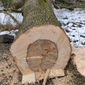 20260131 baufortschritt eigenleistungen magazin aussenarbeiten c5eeb582