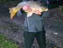 20250804 karpfen fleckenbachsee 79cm 7170g lennart hager.jpgbaf70