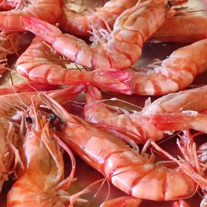 Fischessen, 25.10.2025